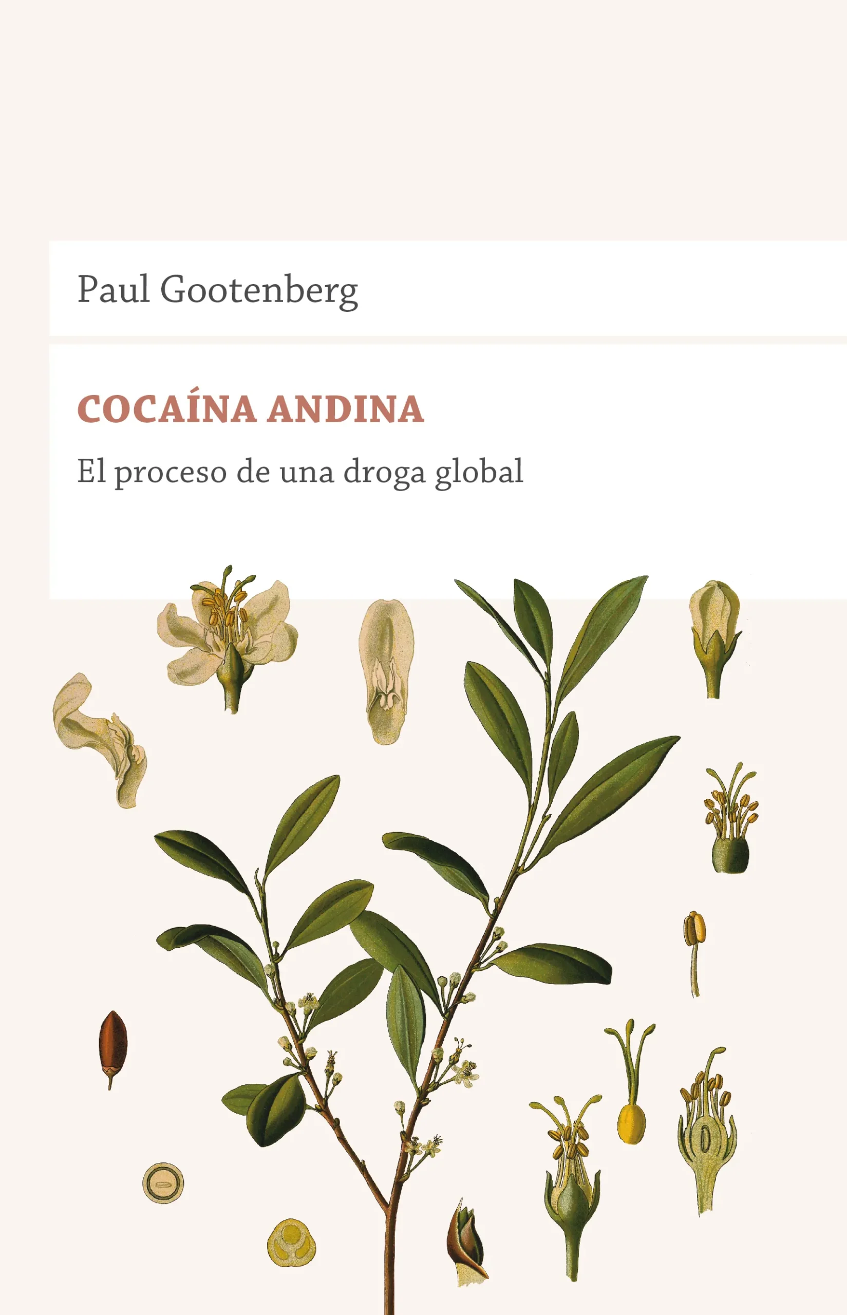 Cocaína andina – El proceso de una droga global